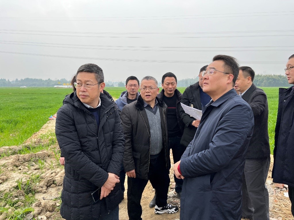 省社、省供投集團領導調研青白江區四川現代供銷種業園區