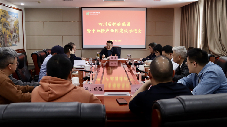 集團公司召開資中三級為農(nóng)服務體系建設工作專題黨委會