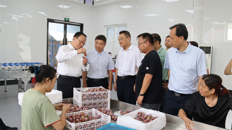 新疆維吾爾自治區(qū)供銷(xiāo)社到集團(tuán)公司龍泉農(nóng)產(chǎn)品集采集配中心調(diào)研