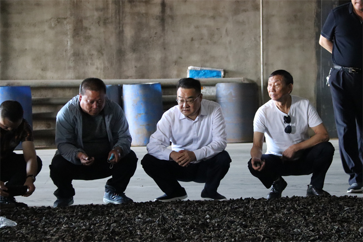 1655348291495478.jpg IMG_6827.jpg