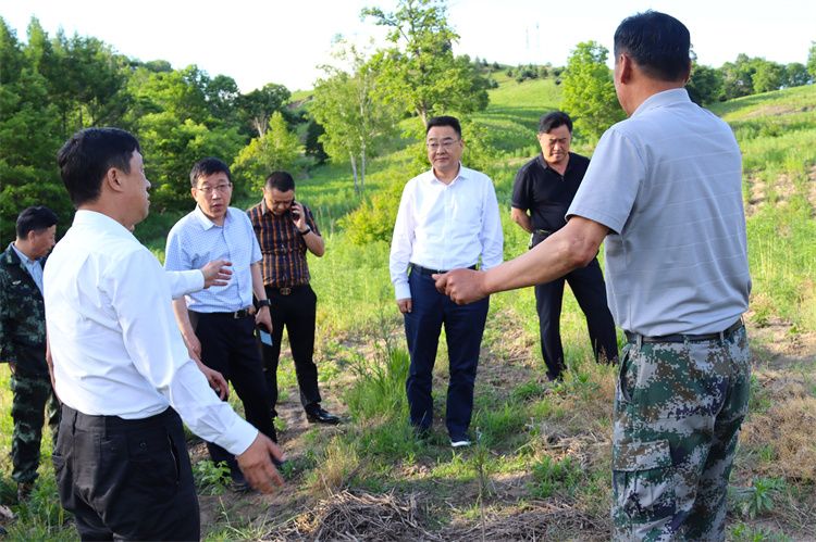 1655348354768290.jpg 要用1.jpg