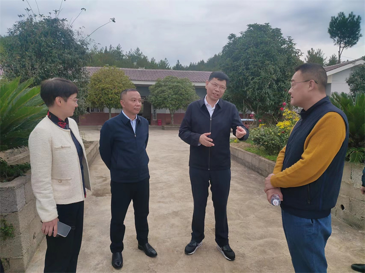 1698911183449116.jpg dcc8883cbedd585f2b20936883553a6.jpg